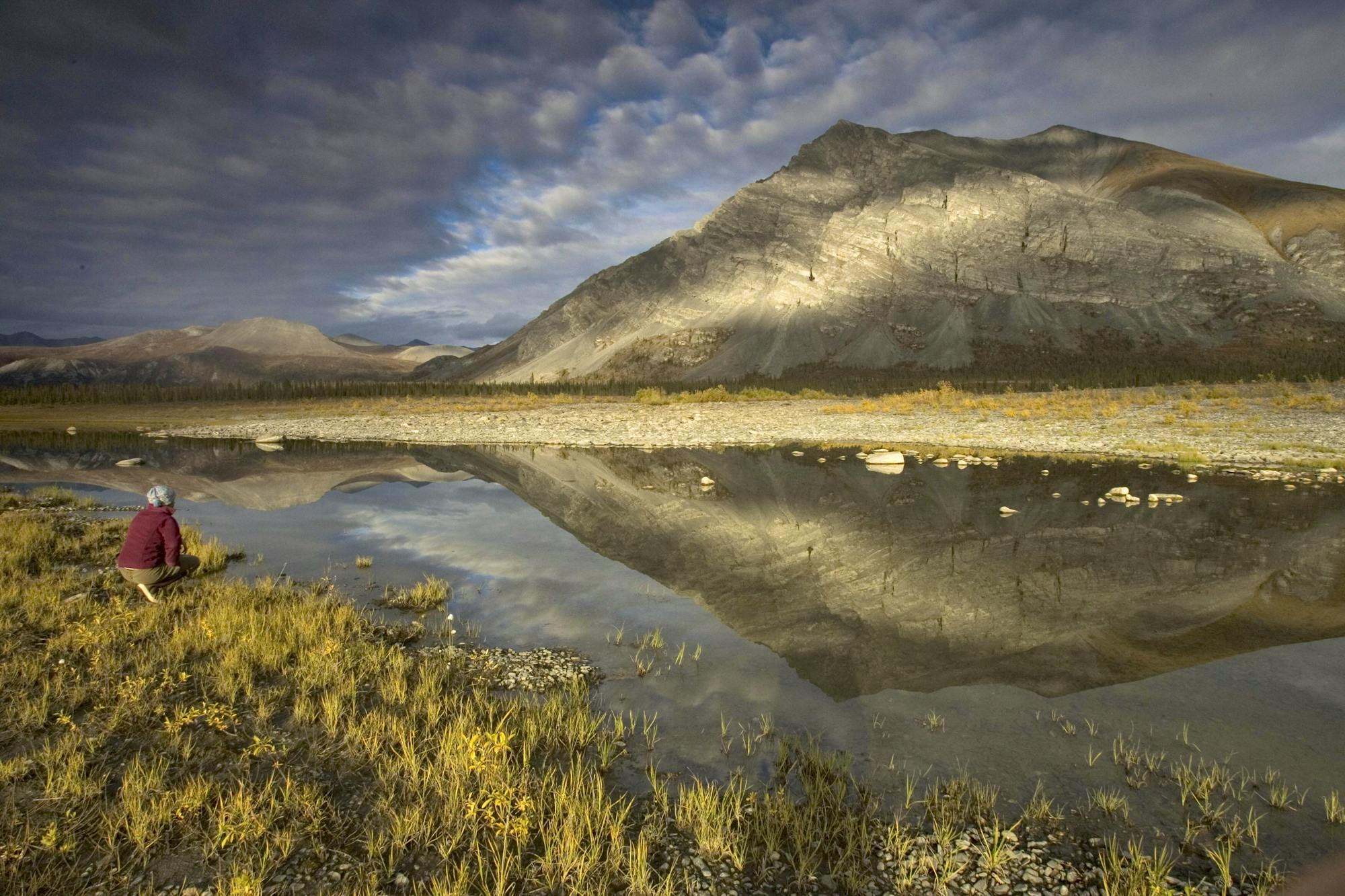 Landscape of Arctic National Wildlife Refuge 