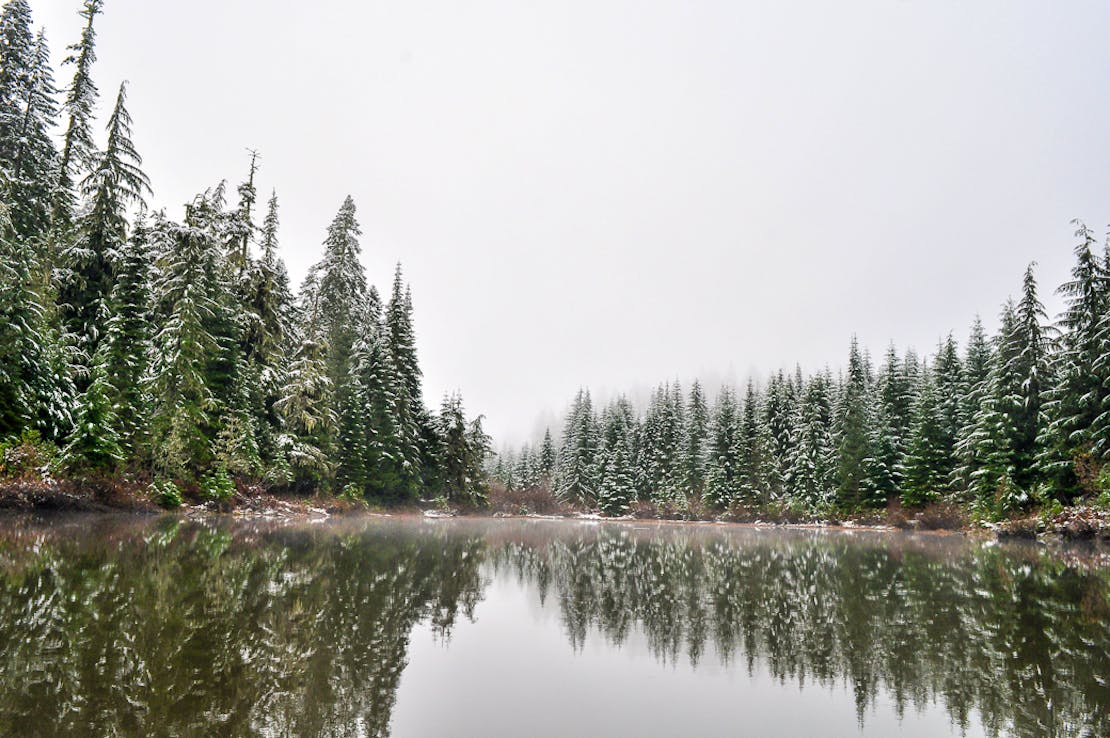 winter landscape of Umpqua National Forest