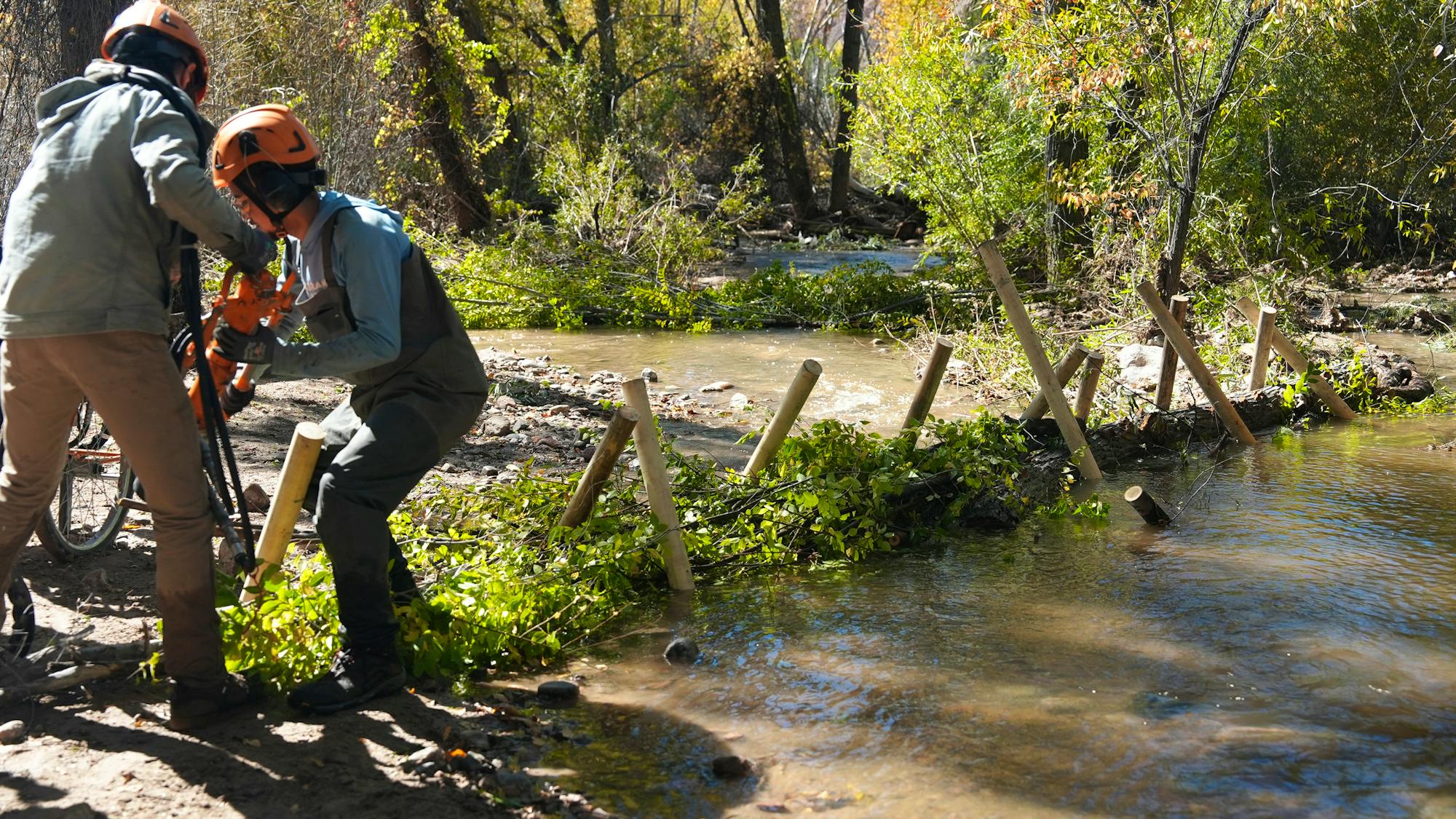 Two people wearing bright orange construction hats work to install a post-assisted log structure in a river. To the right of the people, wooden cylindrical posts stick out of the water, making little triangles with each other. 