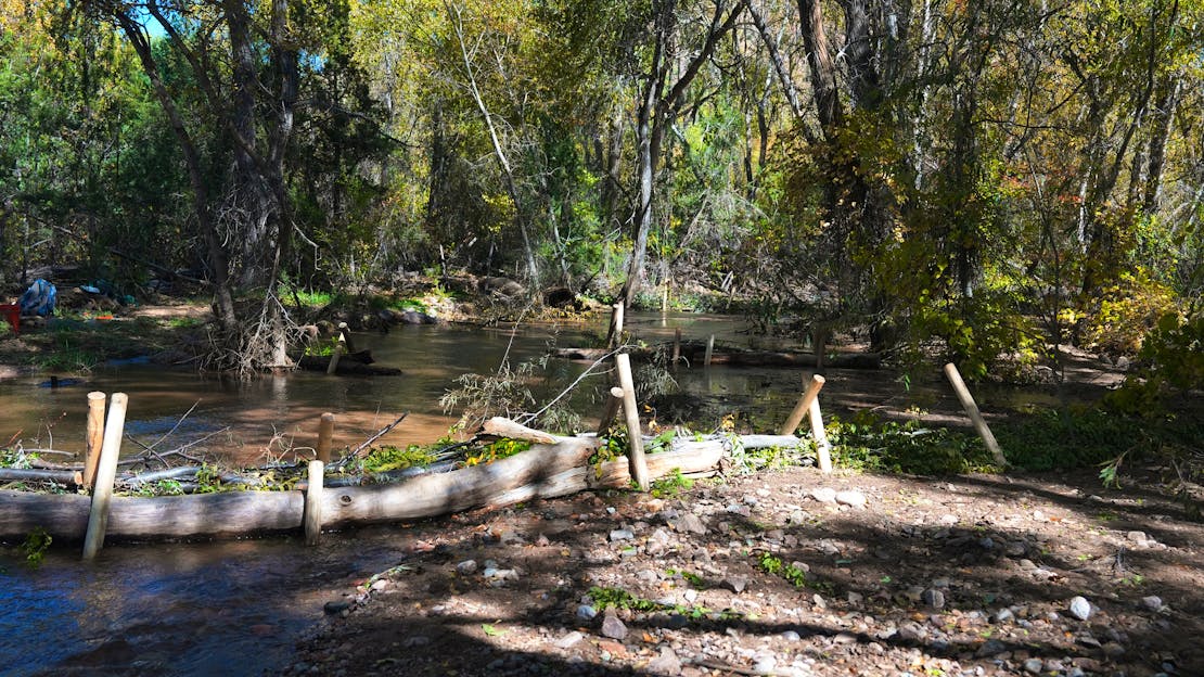 Post-assisted log structure - Wooden cylindrical posts stick up out of the water and ground and make a slight triangle with similar posts on the other side. Between the posts is a long log or part of a fallen tree. 