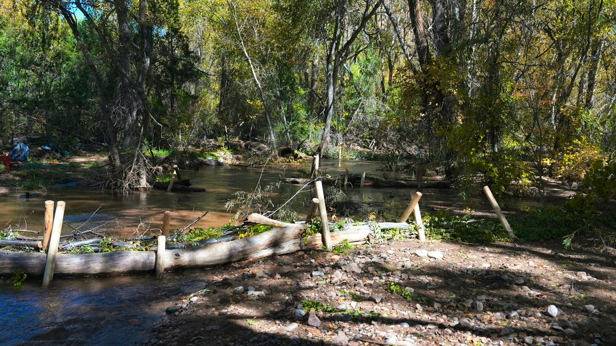 Post-assisted log structure - Wooden cylindrical posts stick up out of the water and ground and make a slight triangle with similar posts on the other side. Between the posts is a long log or part of a fallen tree. 