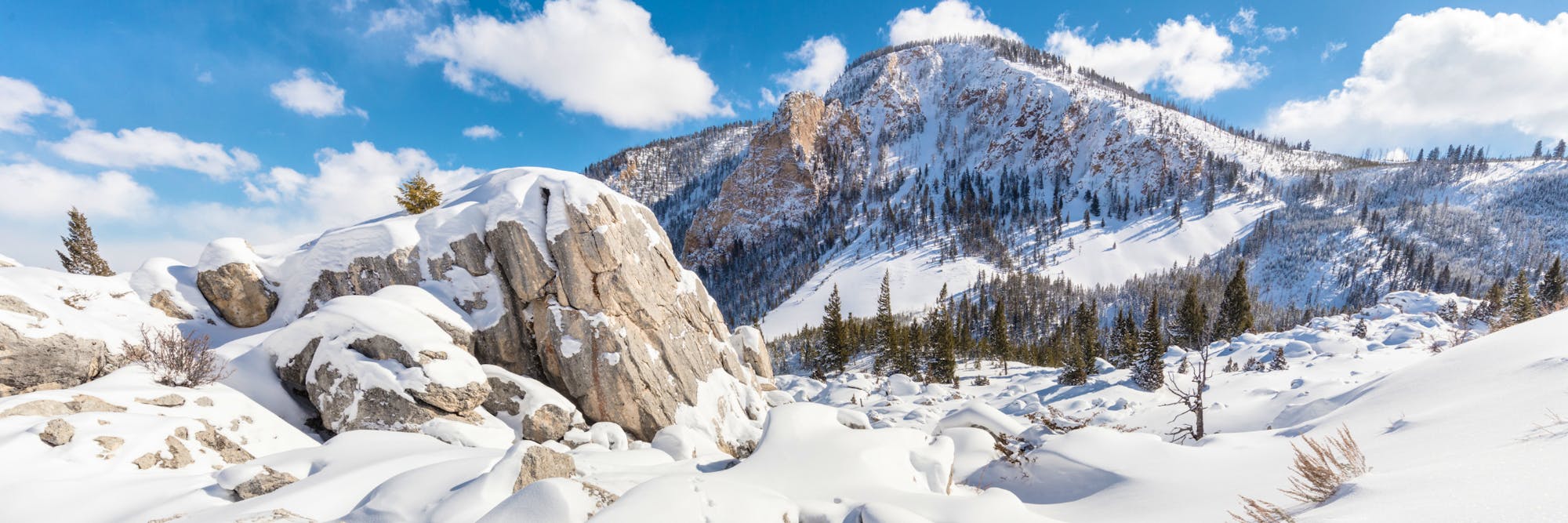 Yellowstone National Park
