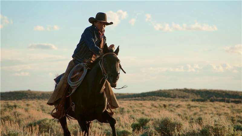 Man riding on horse in field