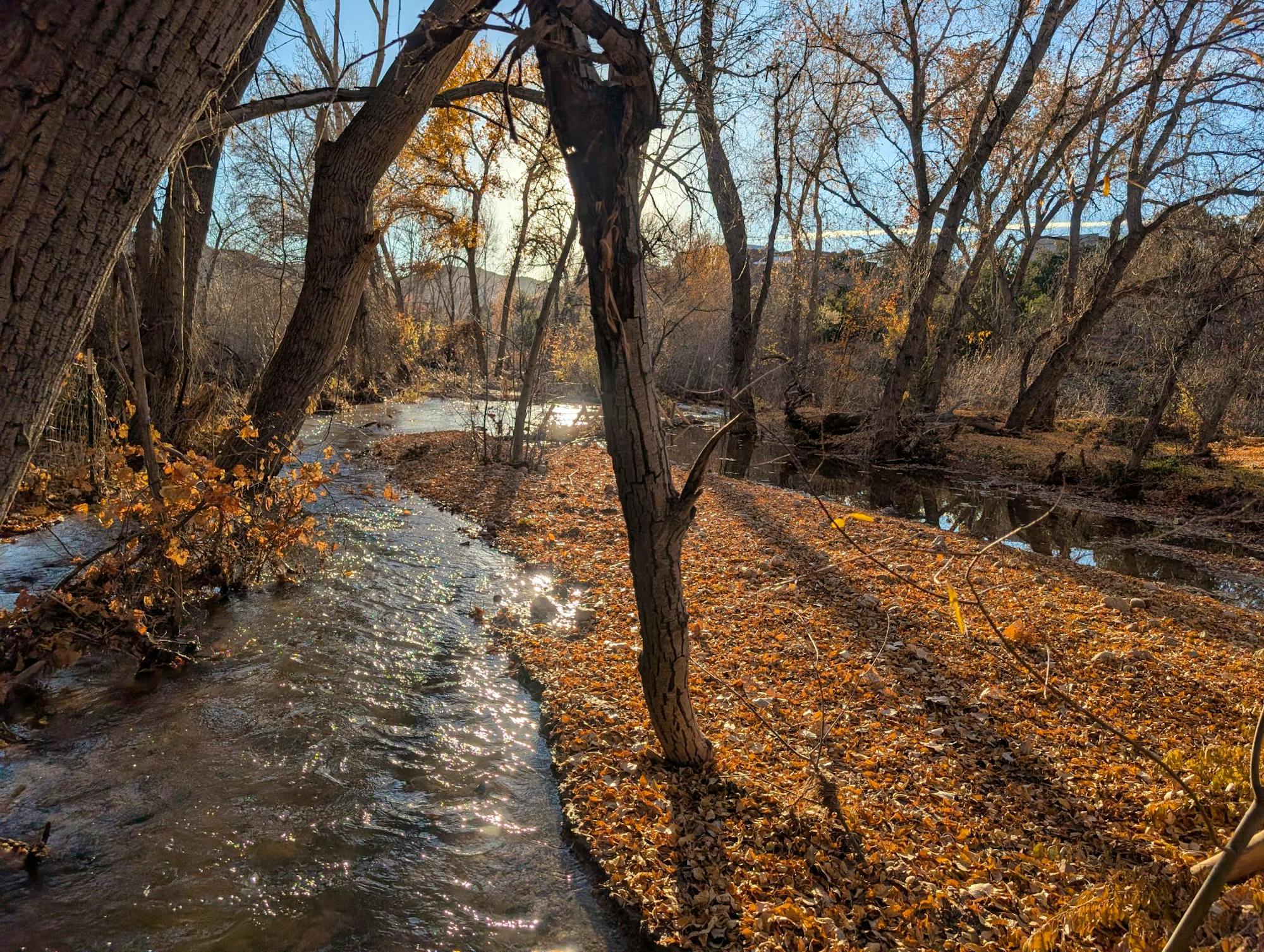 The Rio Quemado after restoration. The river runs next to its banks, which are covered in autumn leaves.