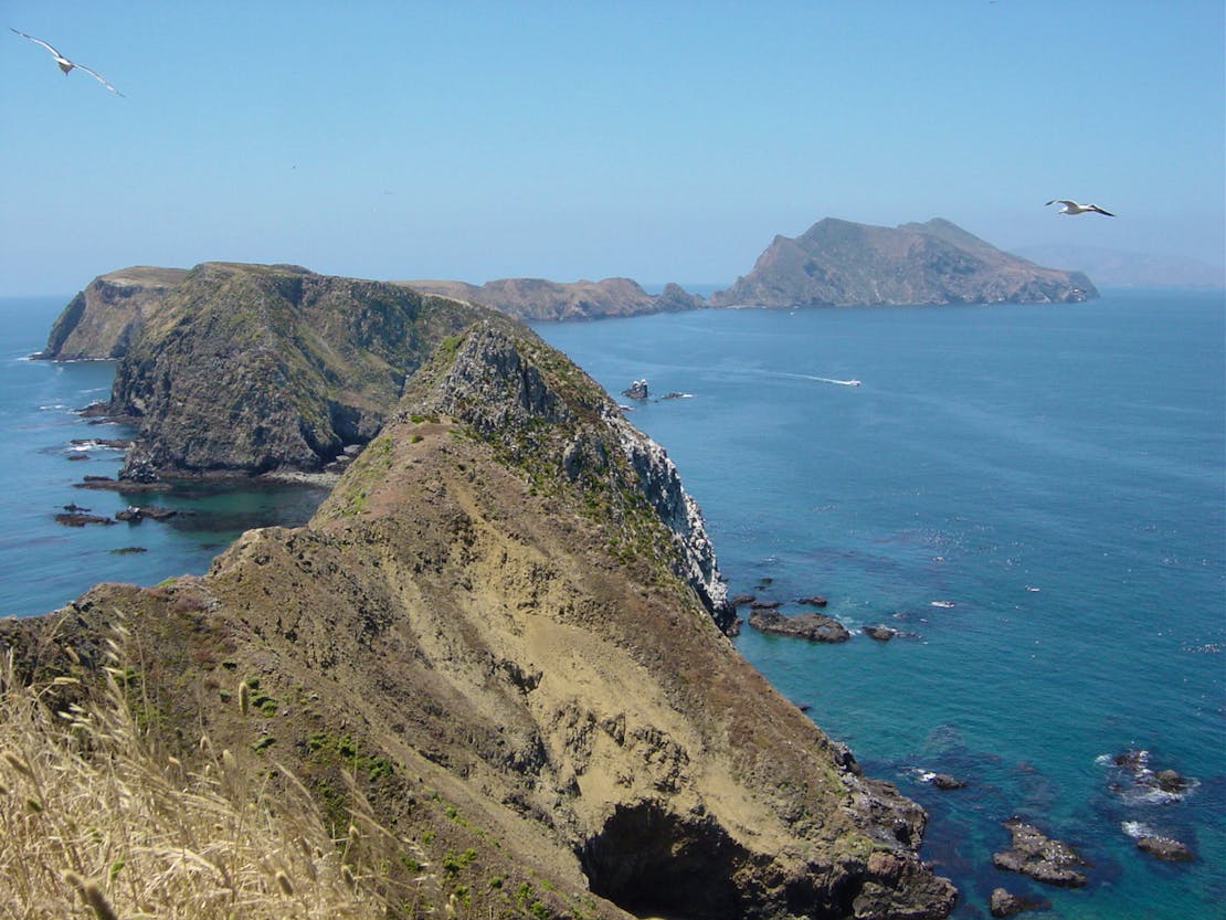 Anacapa Island, one of the Channel Islands off the coast of California. The Islands look like miniature, rock mountains coming out of the ocean with minimal green. Sea gulls fly around in the skies above them. 