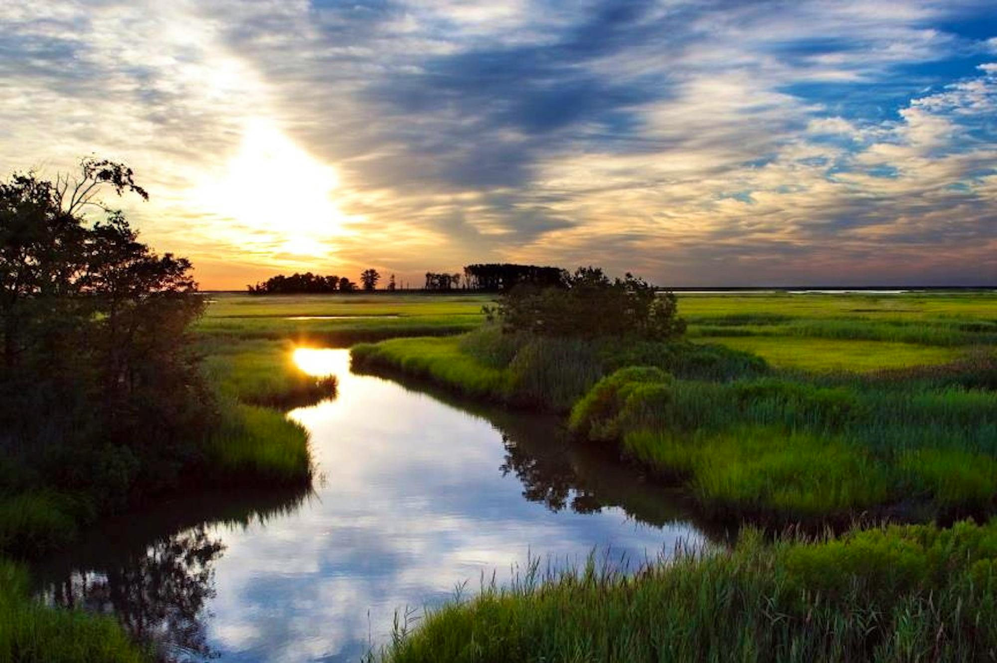 Clouds over marsh