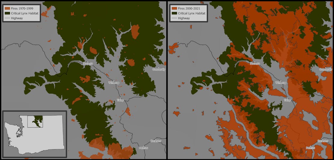 Two maps comparing Lynx habitat historically and currently, and wildfires in Washington.