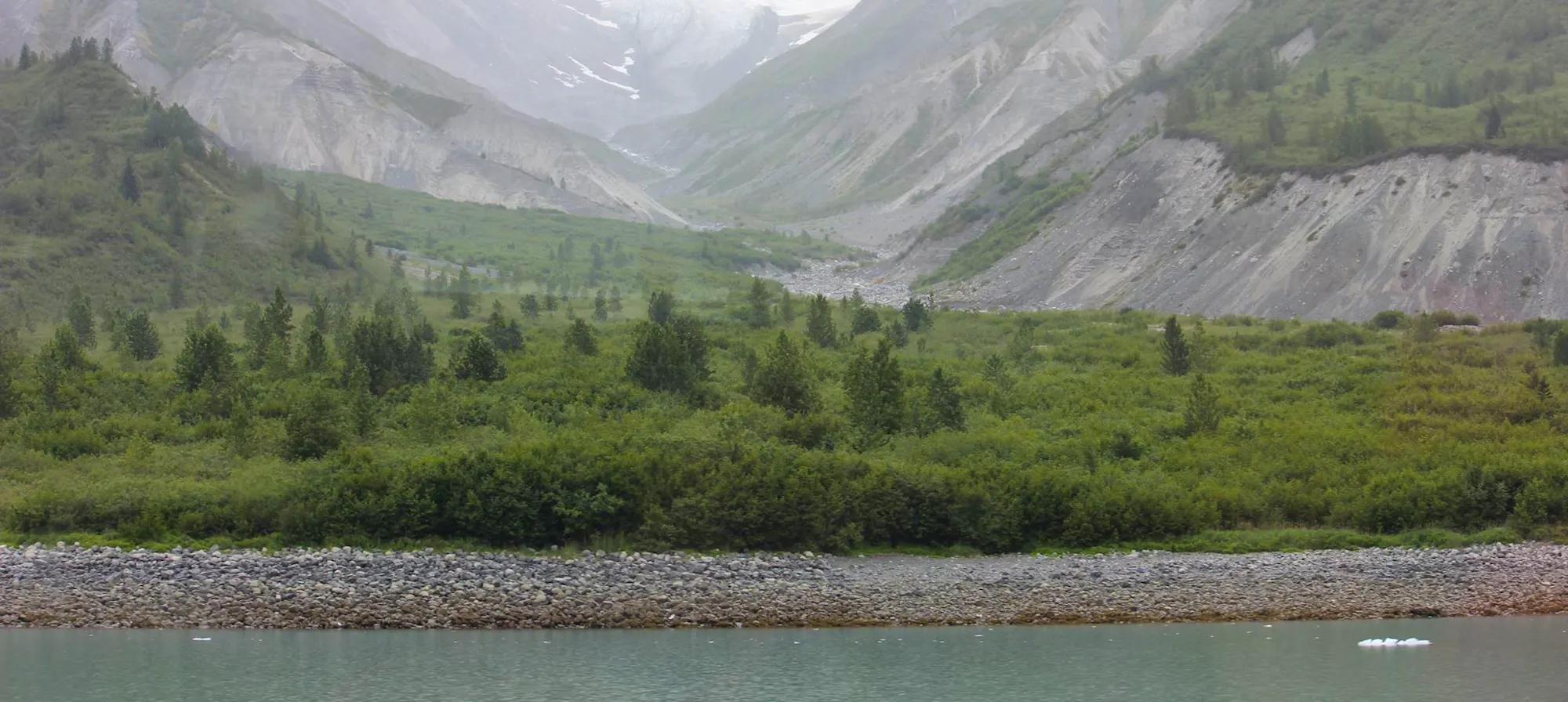 Tongass National Forest mountain landscape