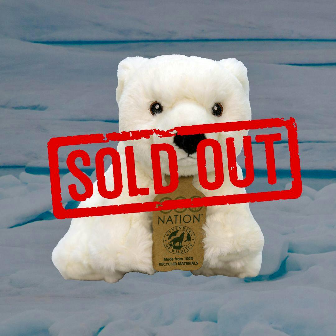 Polar Bear Stuffie Sold Out