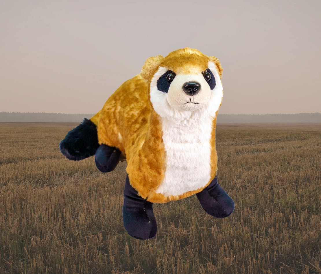 BFF plushie with background