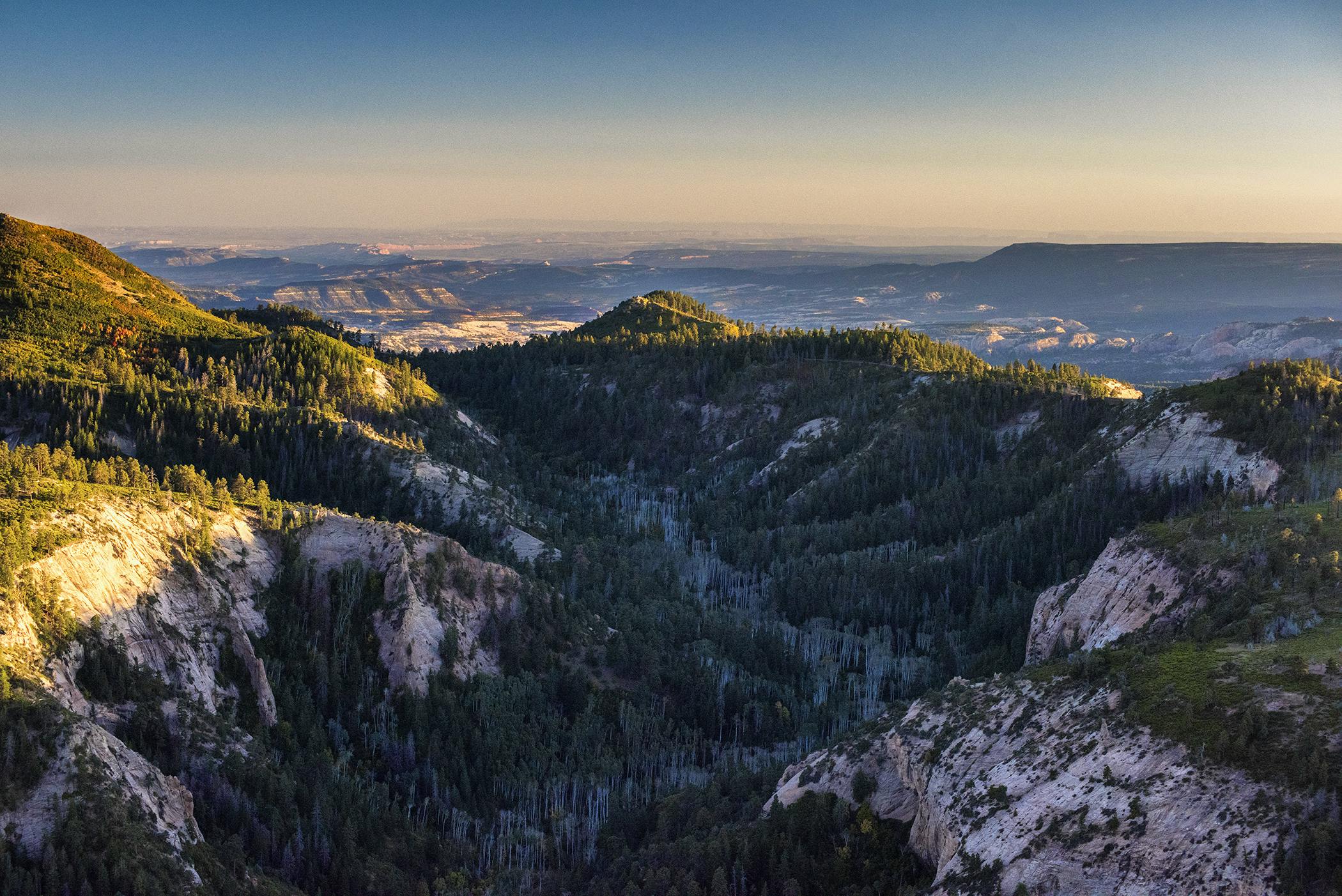 Manti-La Sal National Forest