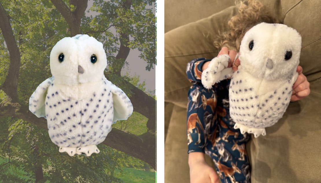 snowy owl plushie with background