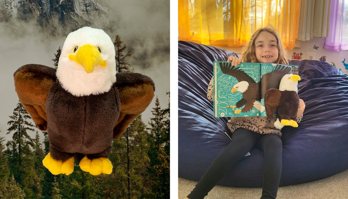 bald eagle plushie with background