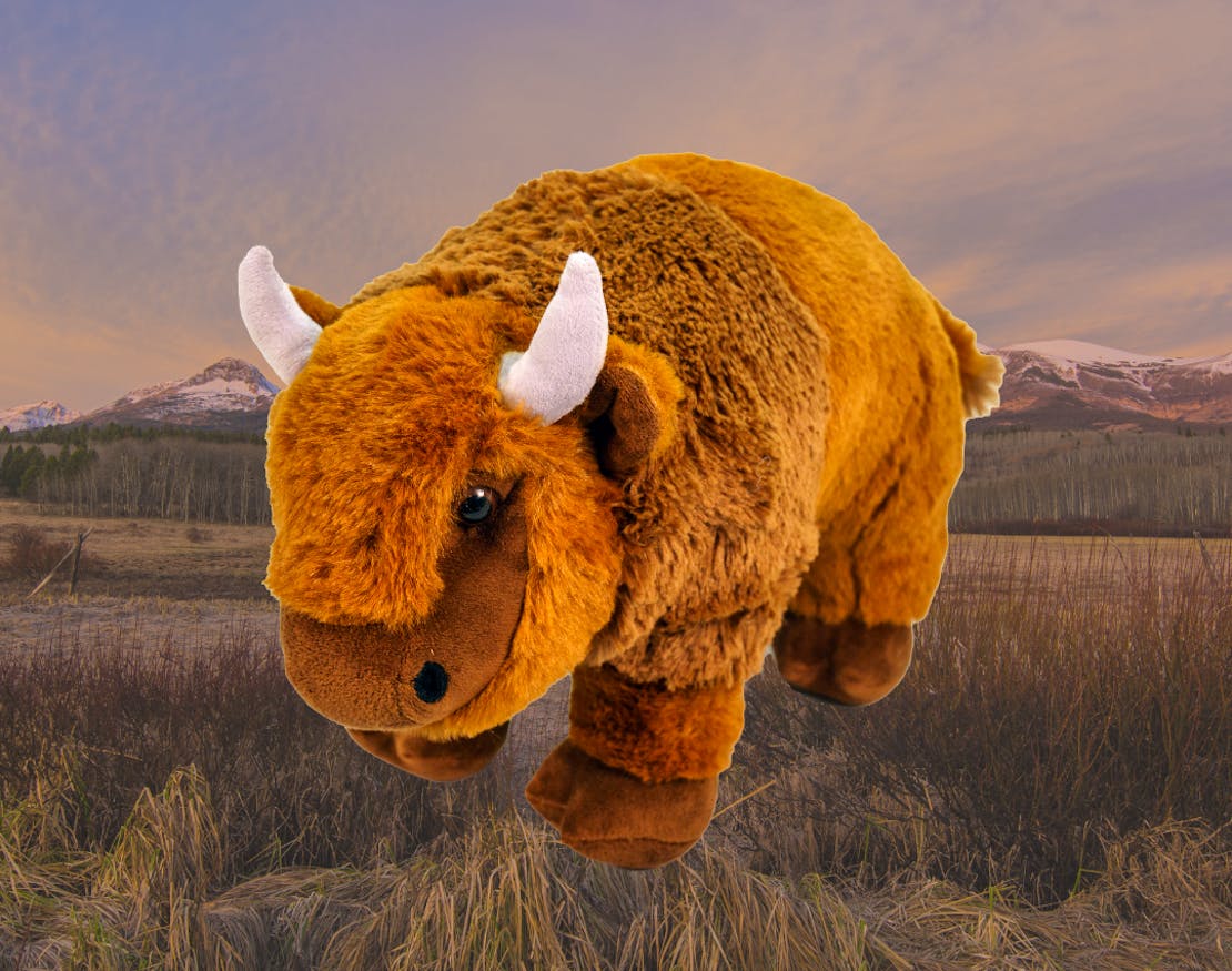 bison / buffalo  plushie with background