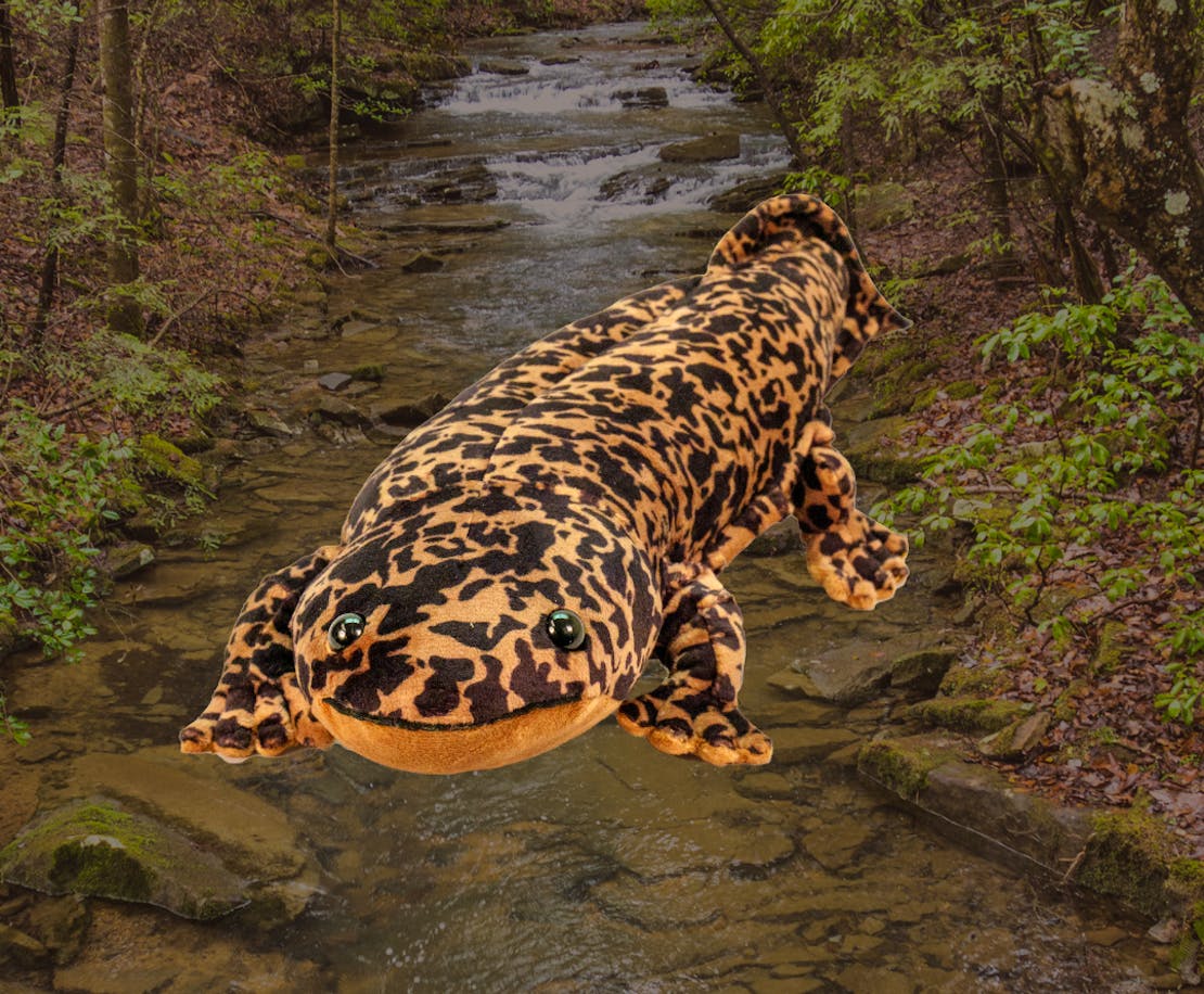 hellbender plushie with background