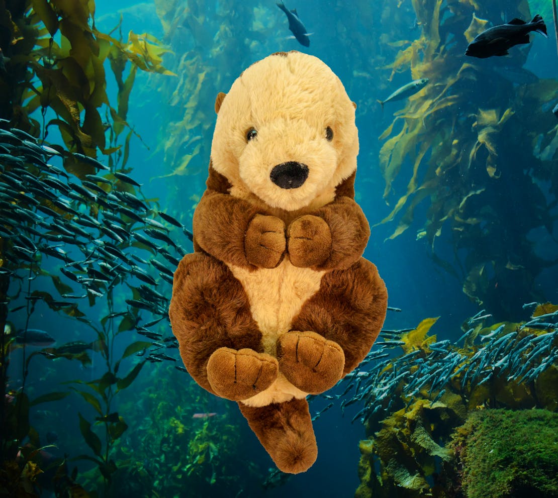 sea otter plushie with background
