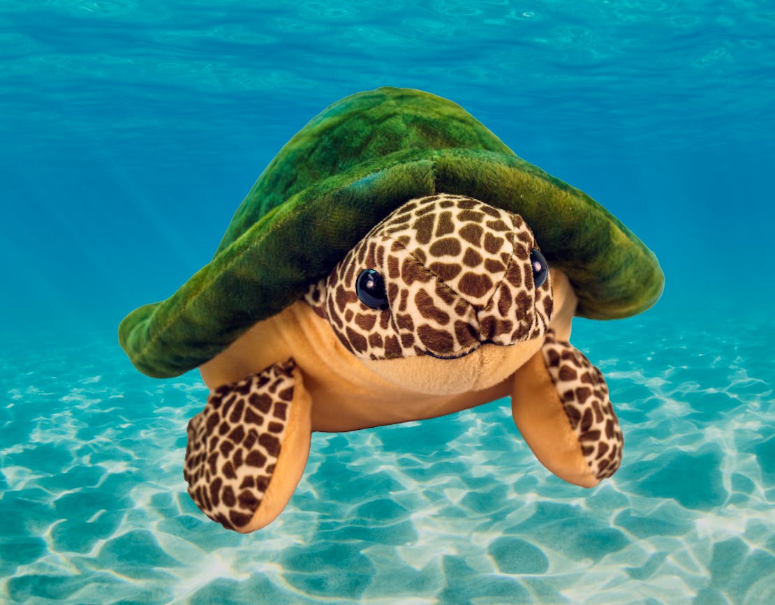sea turtle plushie with background