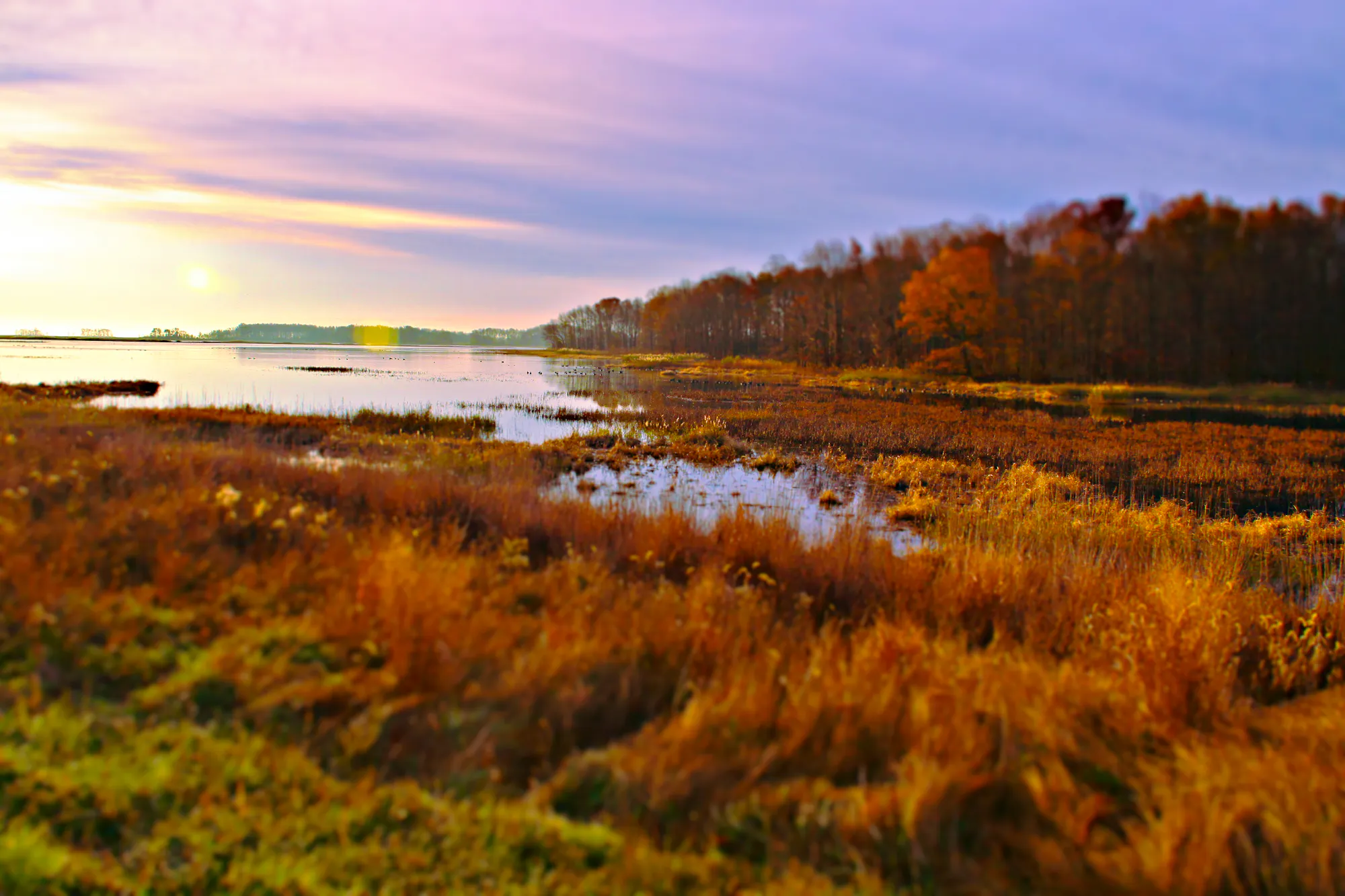 Bombay Hook National Wildlife Refuge