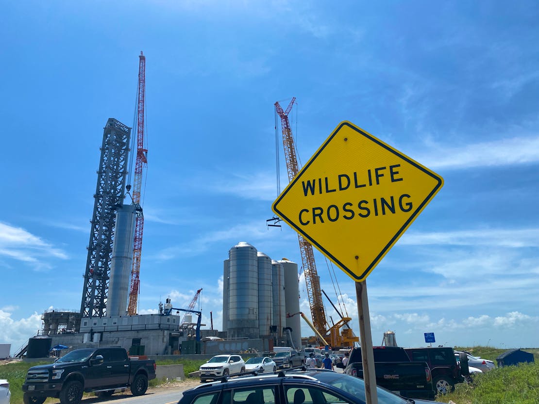 2021.08.04 - Wildlife Crossing Sign at Launch Site - SpaceX Launch Site - Boca Chica - Texas - Sharon Wilcox.jpg