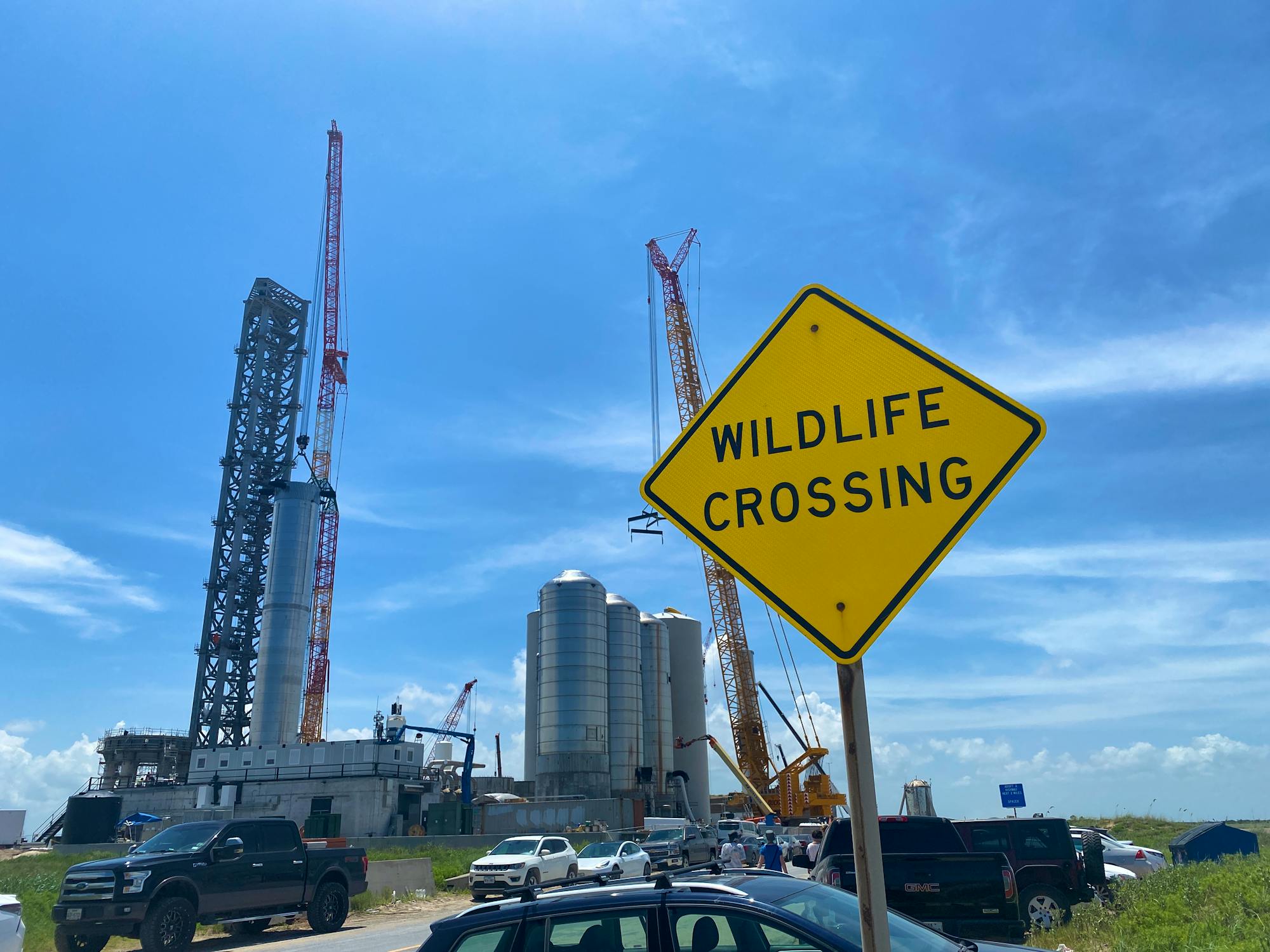 2021.08.04 - Wildlife Crossing Sign at Launch Site - SpaceX Launch Site - Boca Chica - Texas - Sharon Wilcox.jpg
