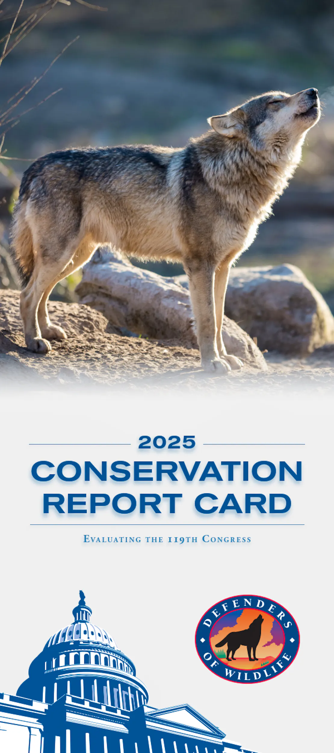 2025 Conservation Report Card Cover Photo