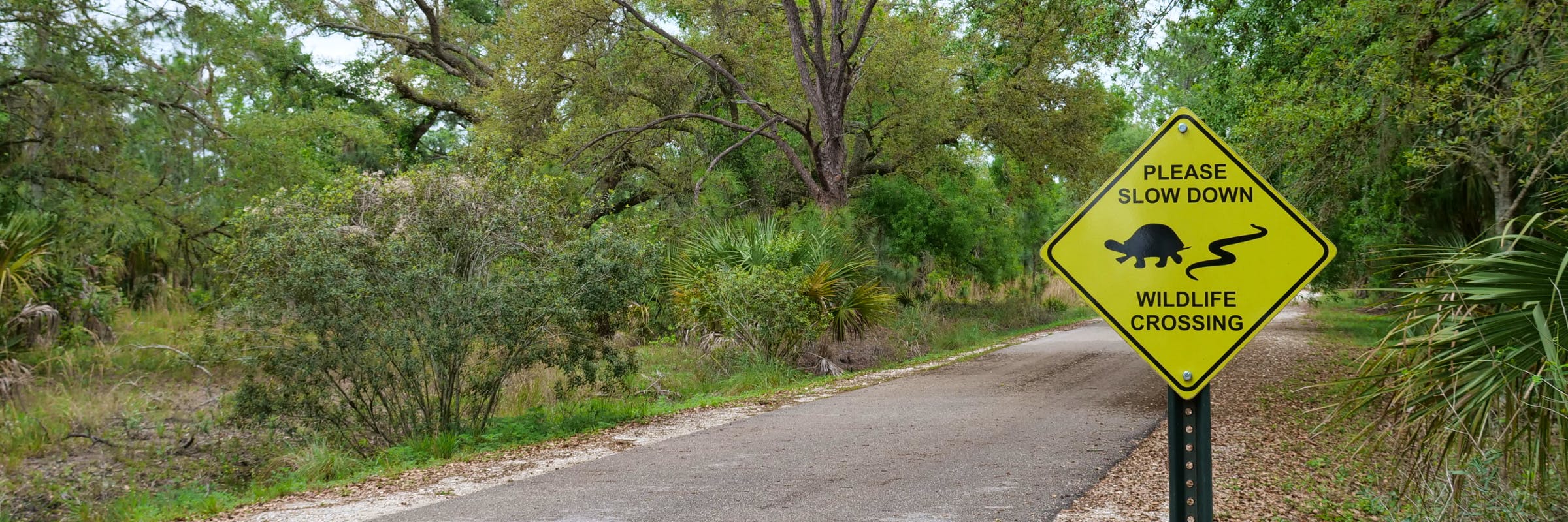 Florida Wildlife Crossing Header