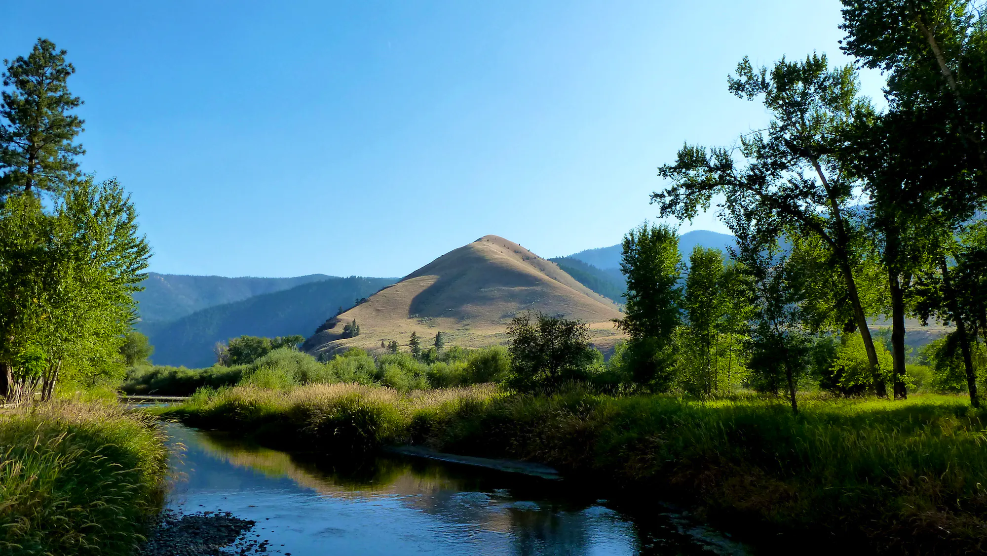 velvet hills long the Salmon river