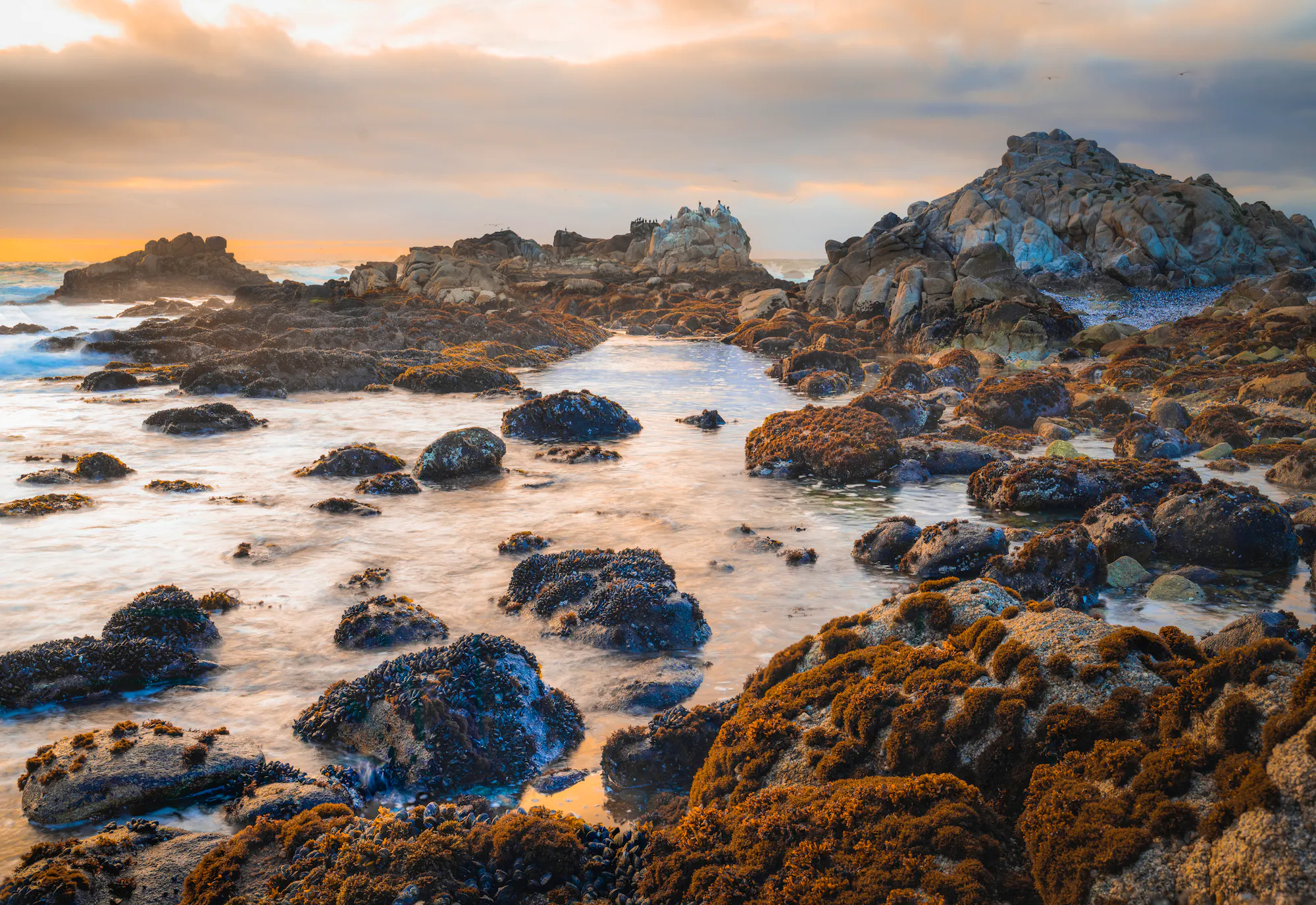 collection of rocks and tide pools near Point Pinos