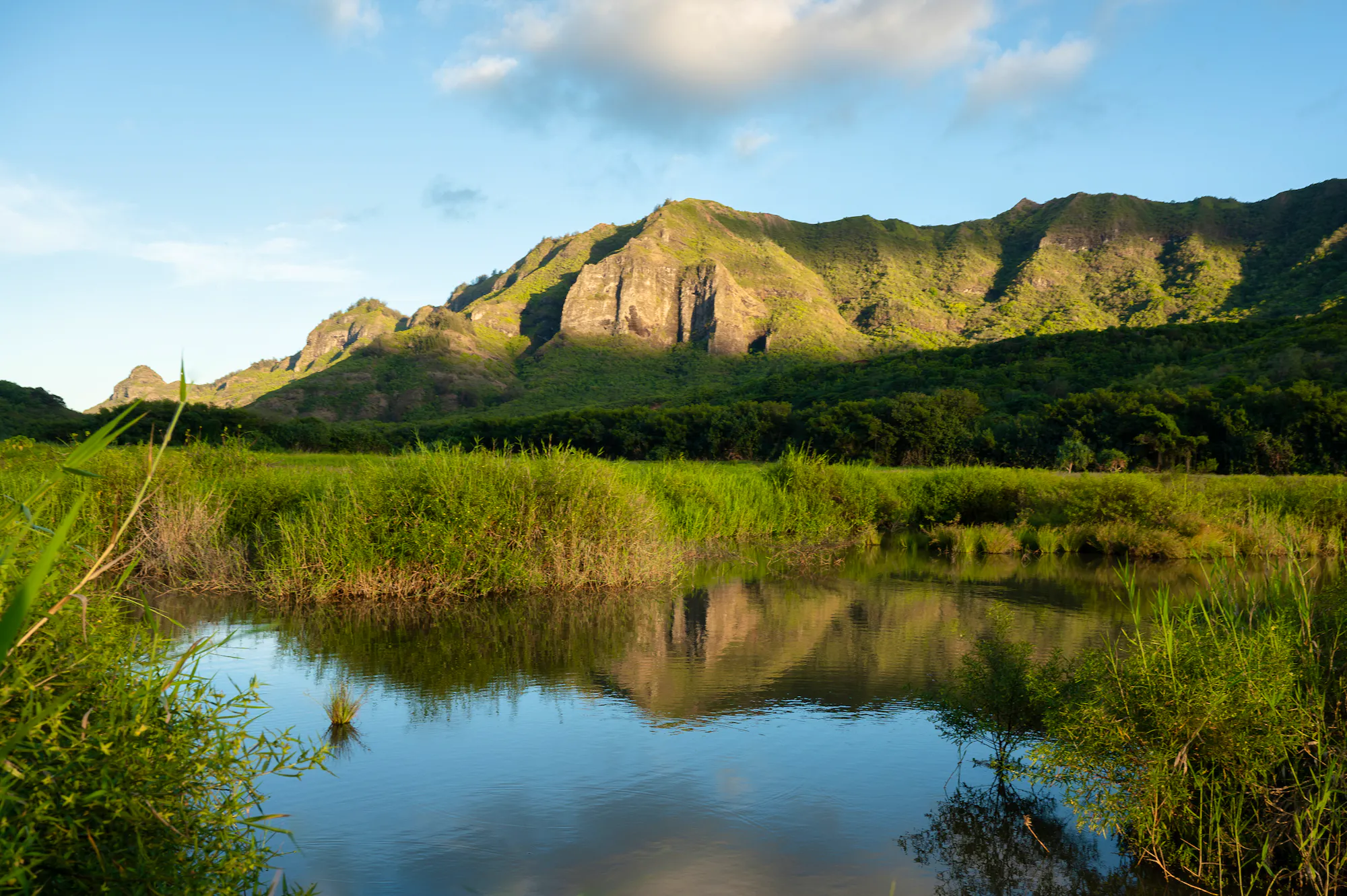 Hulē‘ia National Wildlife Refuge