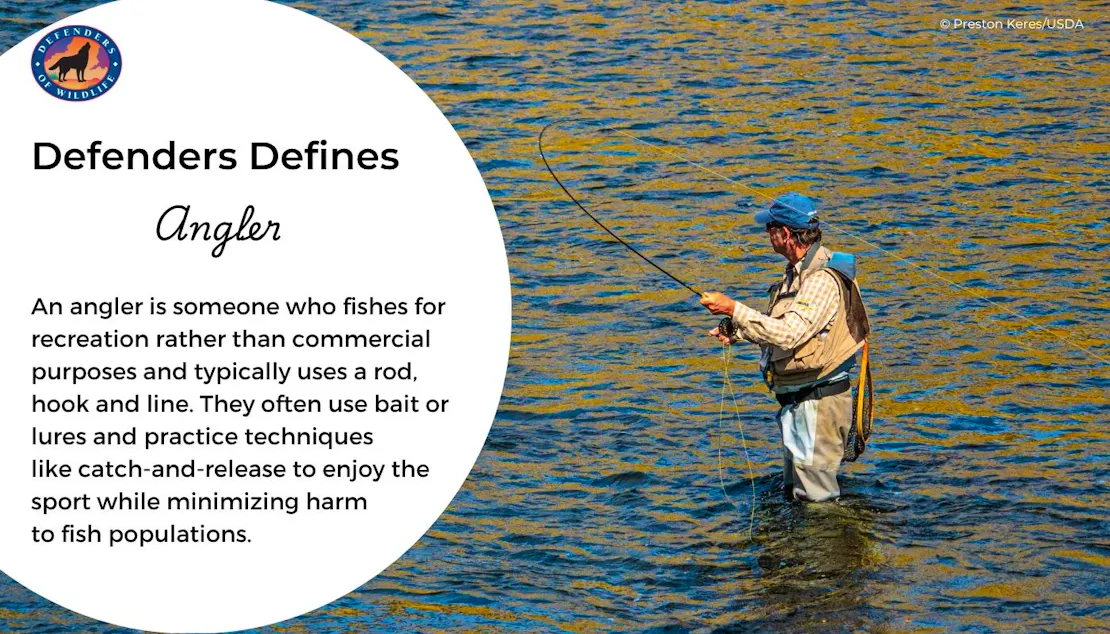 A graphic describing what "Anglers" are. To the right of the explanation, a man throws his fishing line in blue-yellow waters.