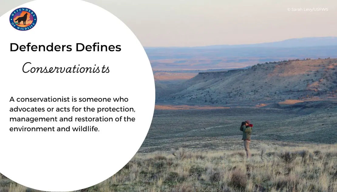 A graphic explaining what a conservationist is. A man stands in a sagebrush sea "field" holding binoculars. There are mountains in the background
