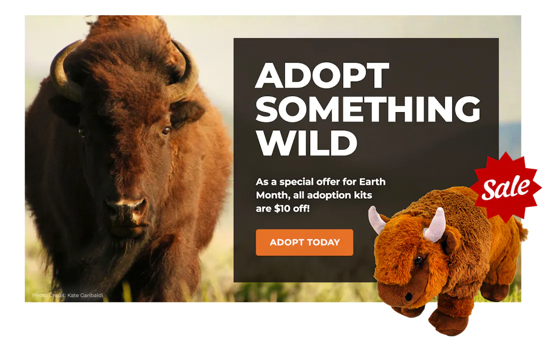 EarthMonthSale_Lightbox_Bison