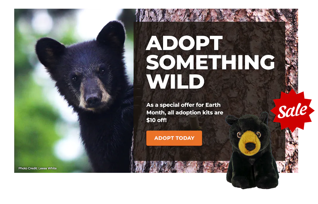 EarthMonthSale_Lightbox_BlackBear