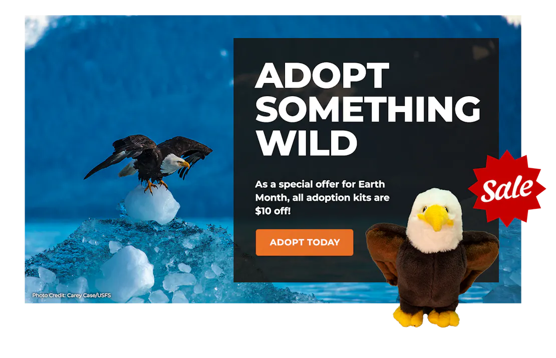 EarthMonthSale_Lightbox_Eagle