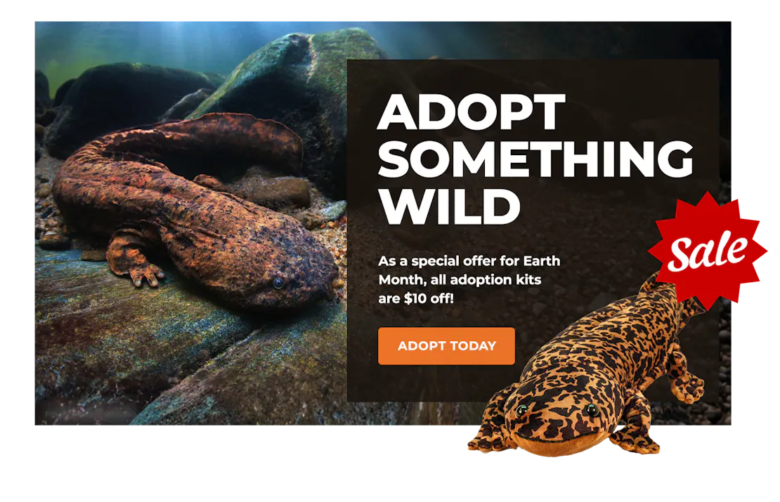 EarthMonthSale_Lightbox_Hellbender