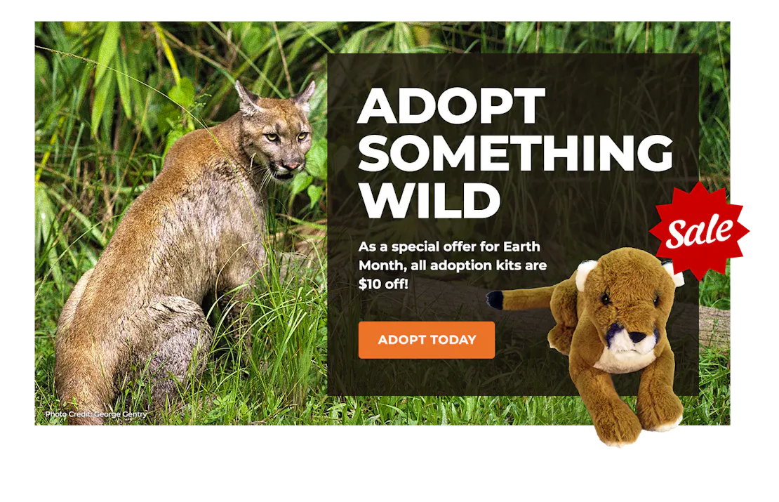 EarthMonthSale_Lightbox_Panther