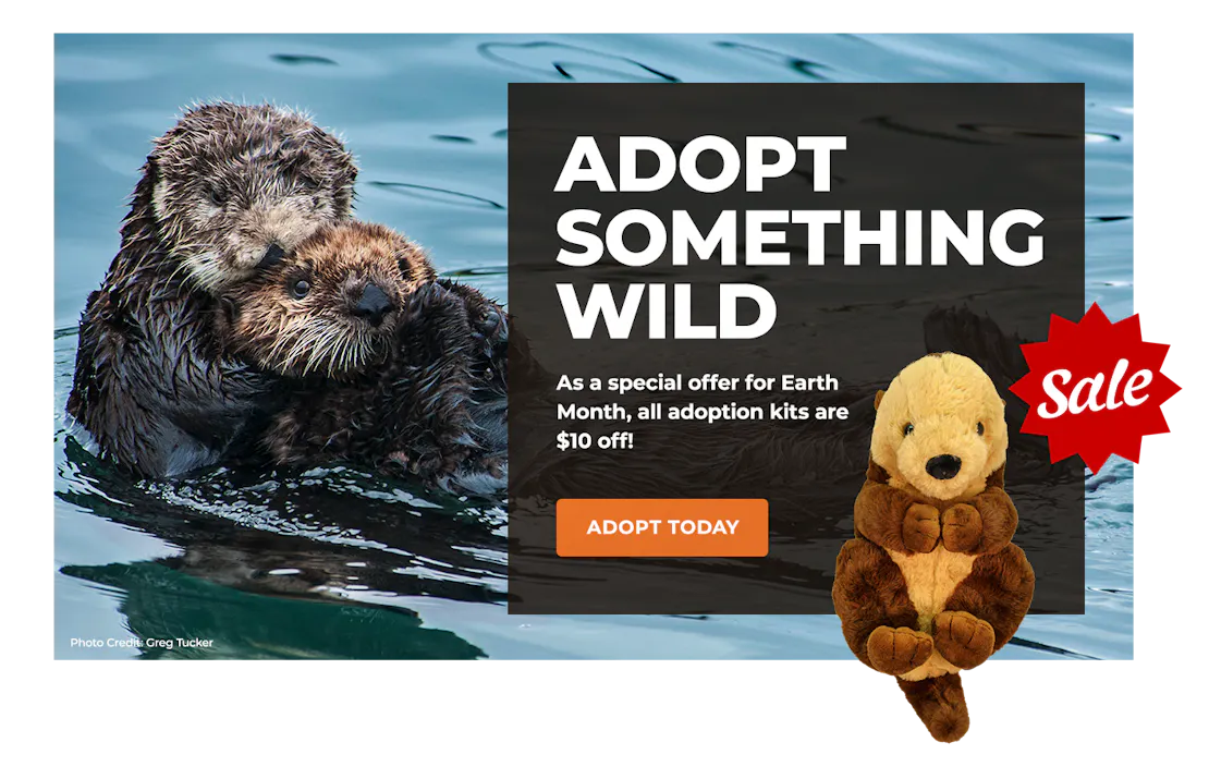 EarthMonthSale_Lightbox_SeaOtter