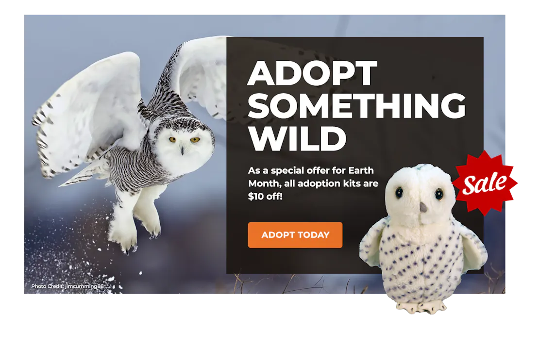 EarthMonthSale_Lightbox_SnowyOwl