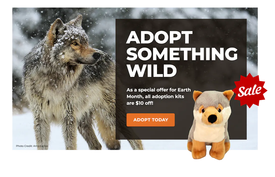 EarthMonthSale_Lightbox_Wolf