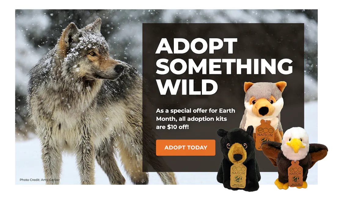 EarthMonthSale_Lightbox_WolfGeneric