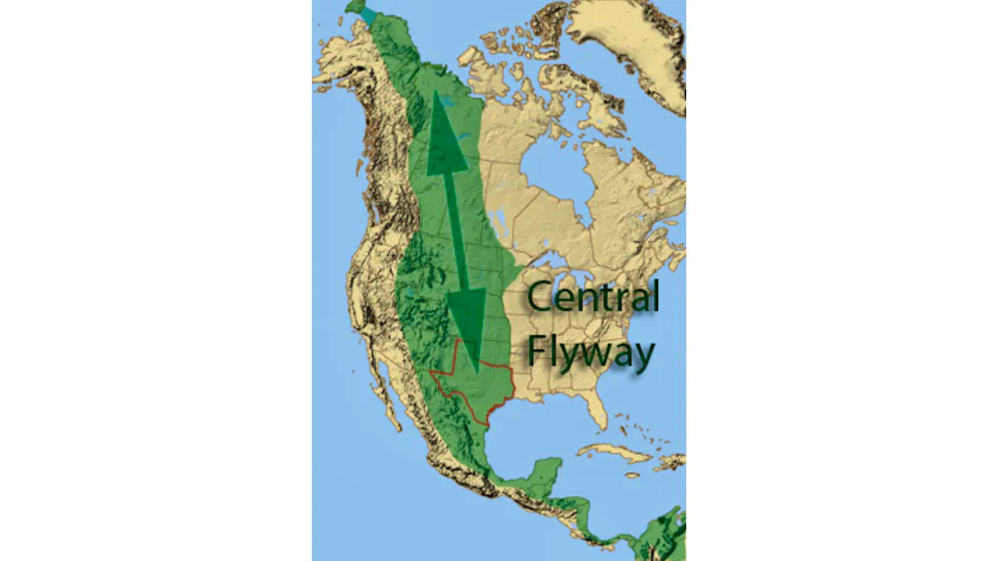 A map of North America with a section of it - from the base of Mexico, through Texas and the West, to the Northern western tip of Canada highlighted in green. And arrow pointing both up and down runs through the green.