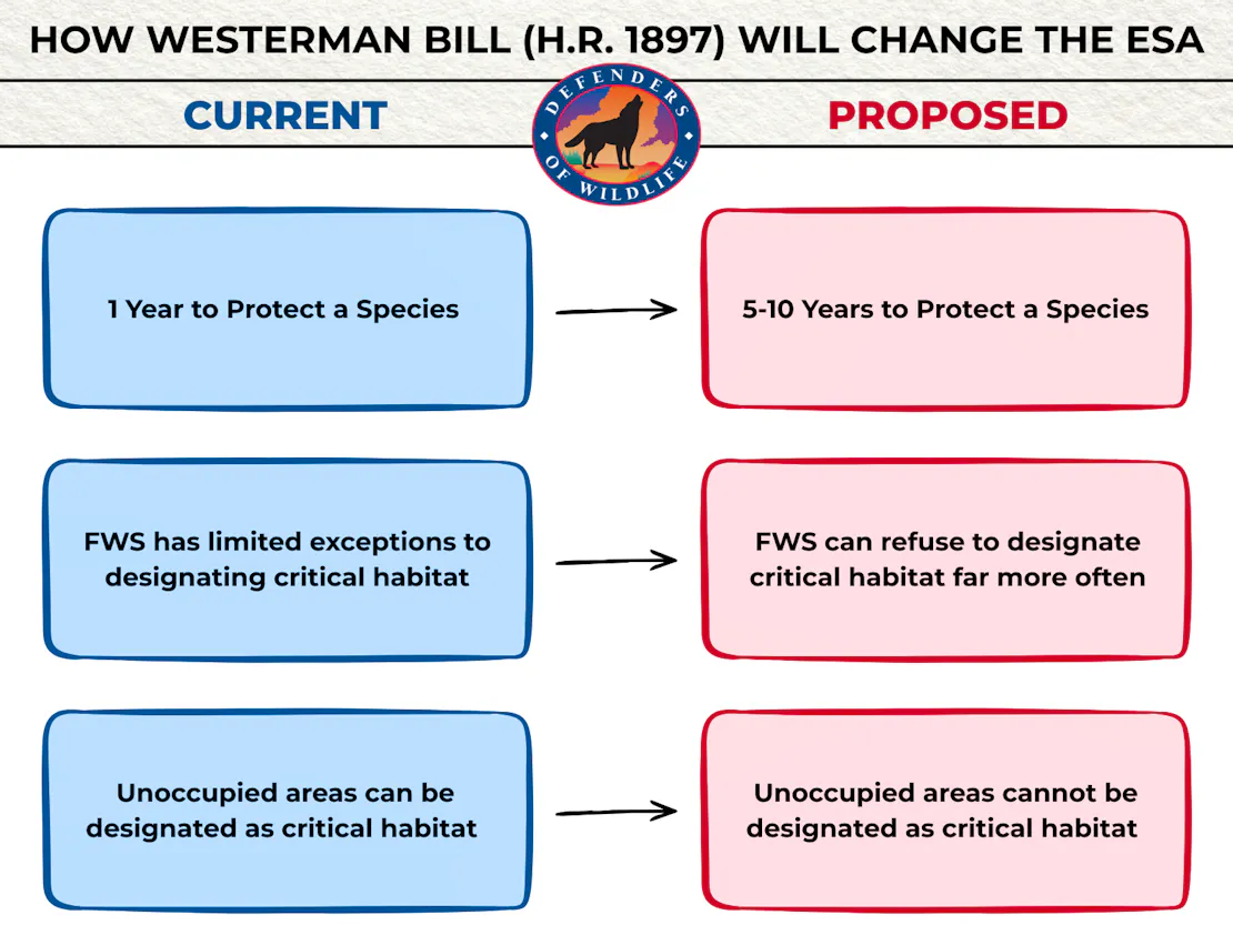 How Westerman Bill (H.R. 1897) will change the ESA