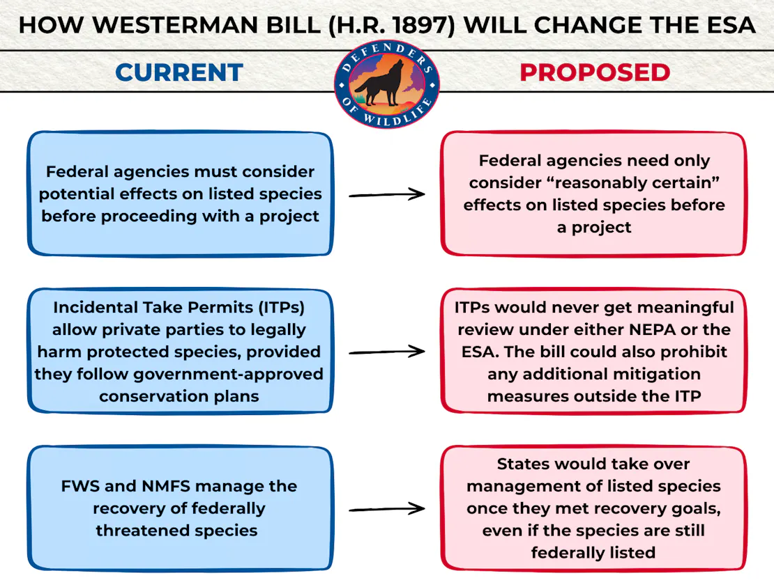 How Westerman Bill (H.R. 1897) will change the ESA