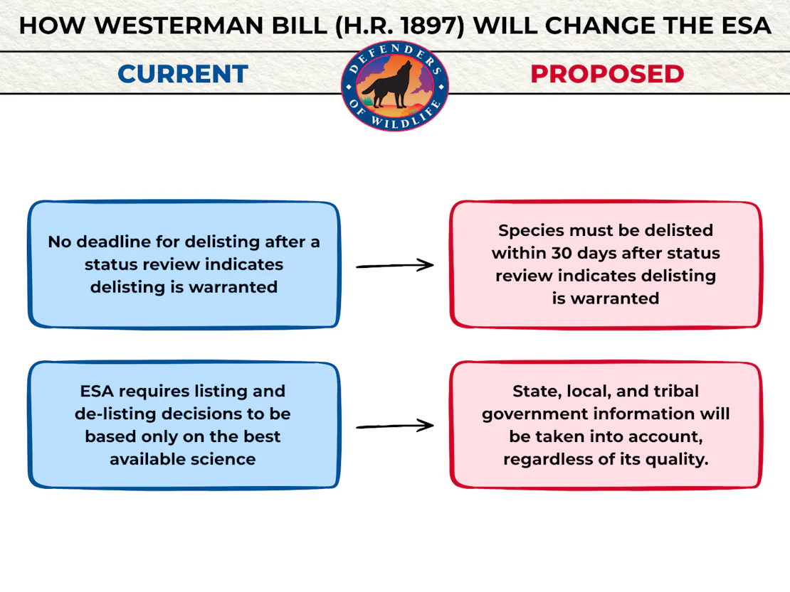 How Westerman Bill (H.R. 1897) will change the ESA