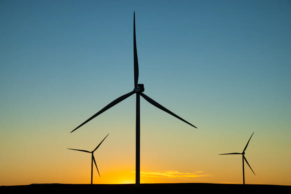 wind farm