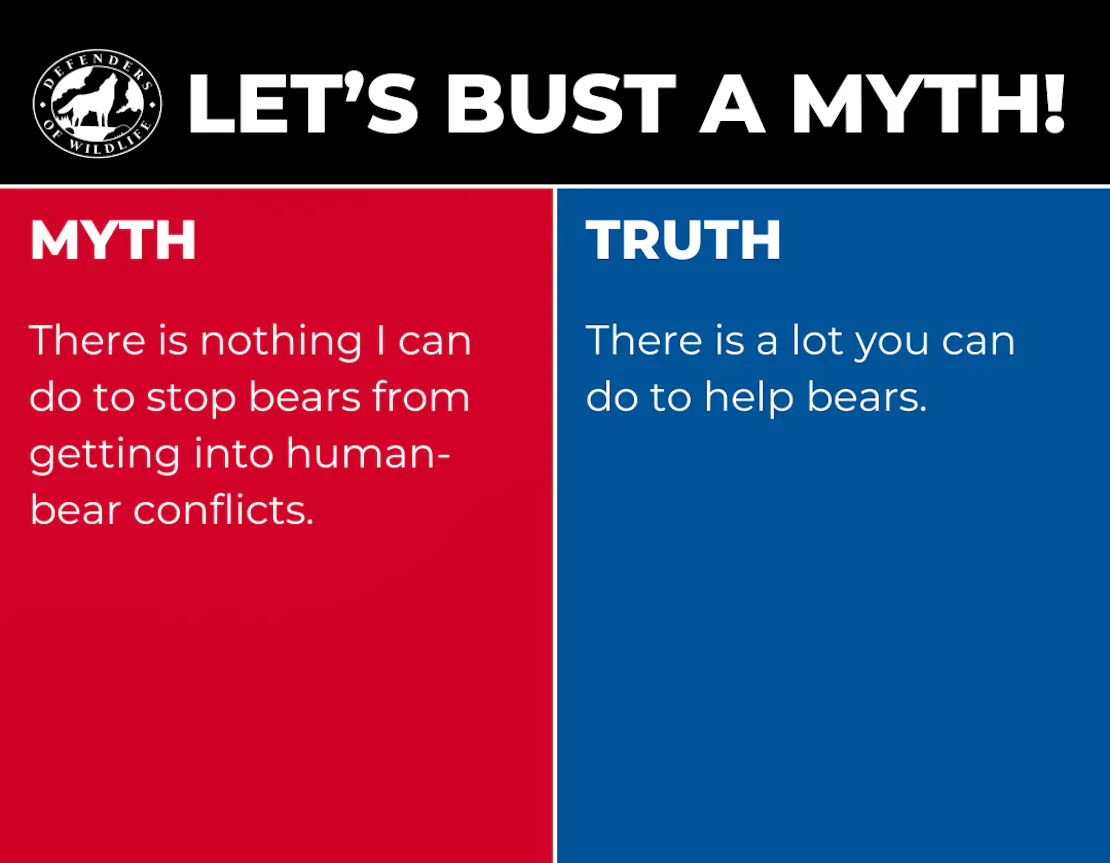 Graphic with "Let's Bust a Myth!" on top. The left half is red and reads "MYTH There's nothing I can do to stop bears from getting into conflicts." The right side is blue and reads "TRUTH There is a lot you can do to help bears."