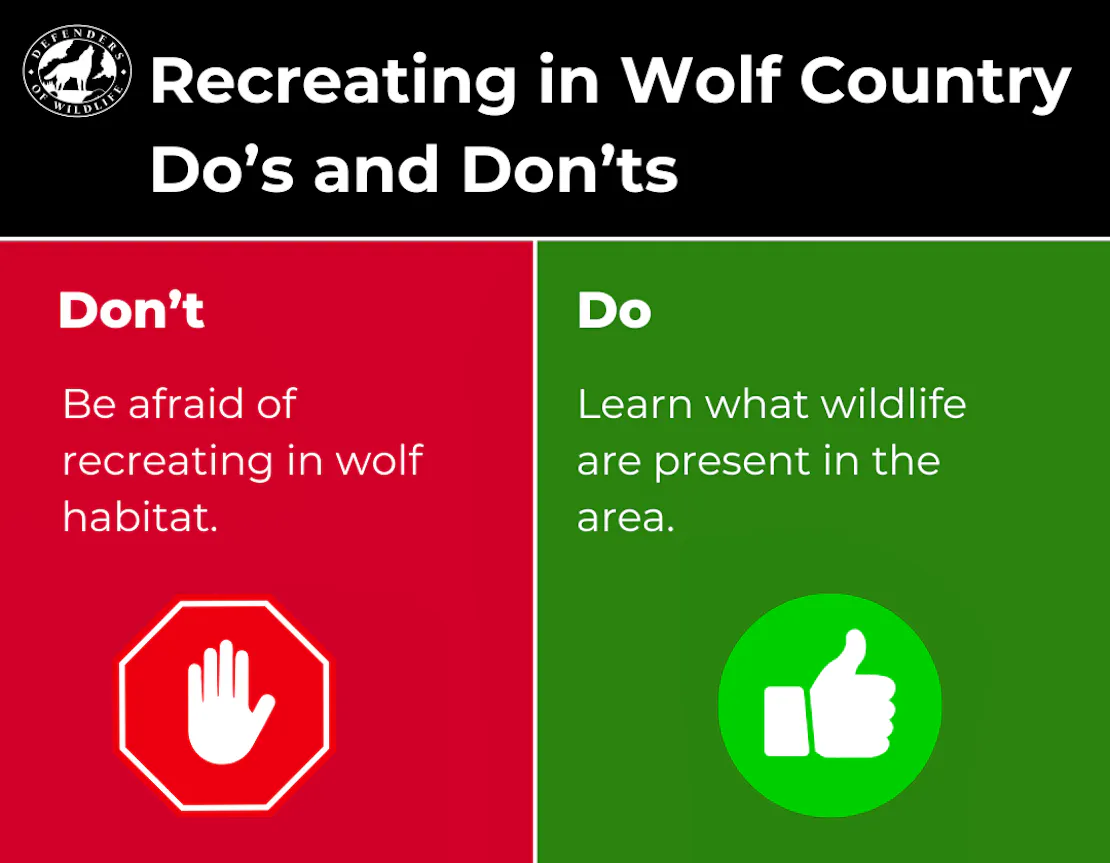 Graphic sharing a Do and Don't for Recreating in Wolf Country. Don't Be afraid of recreating in wolf habitat. Do learn what wildlife is in the area!