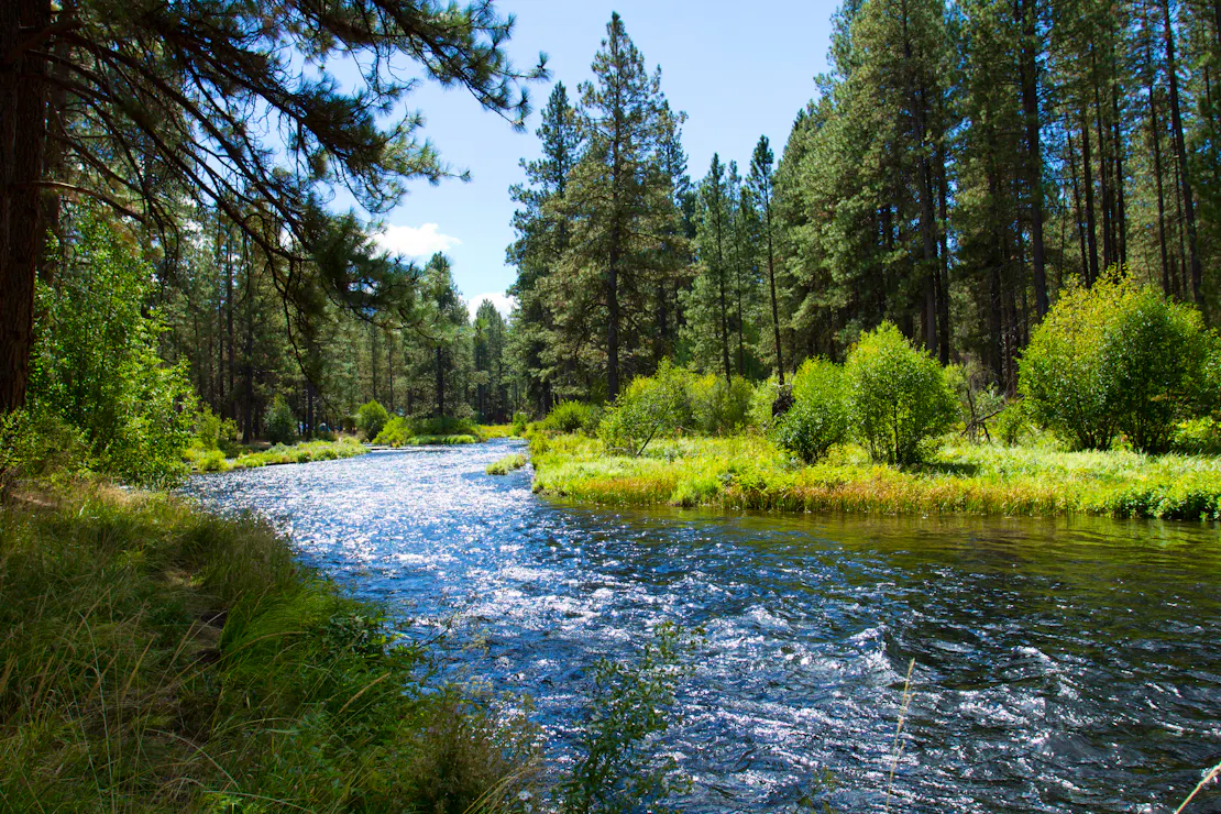 Metolius River, Oregon