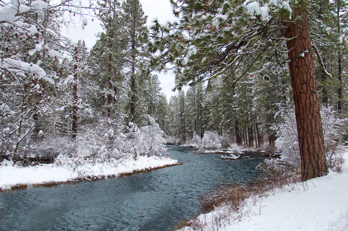 Metolius river in winter