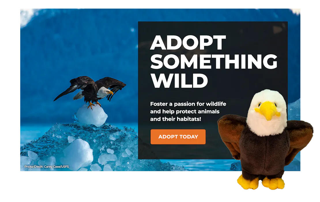 eagle image with adoption plush eagle overlaying block with text promoting symbolic adoption